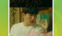 小胖网红爆料视频大全下载